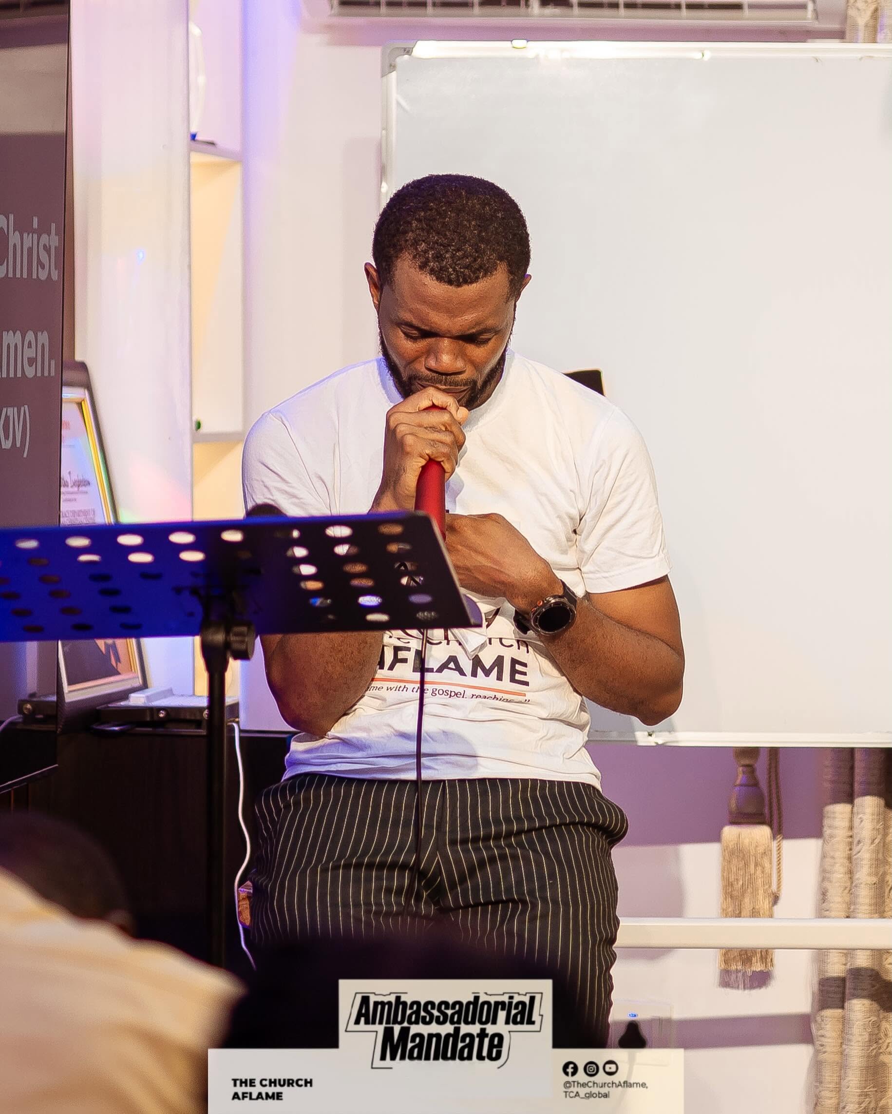 THE AMBASSADORIAL MANDATE8